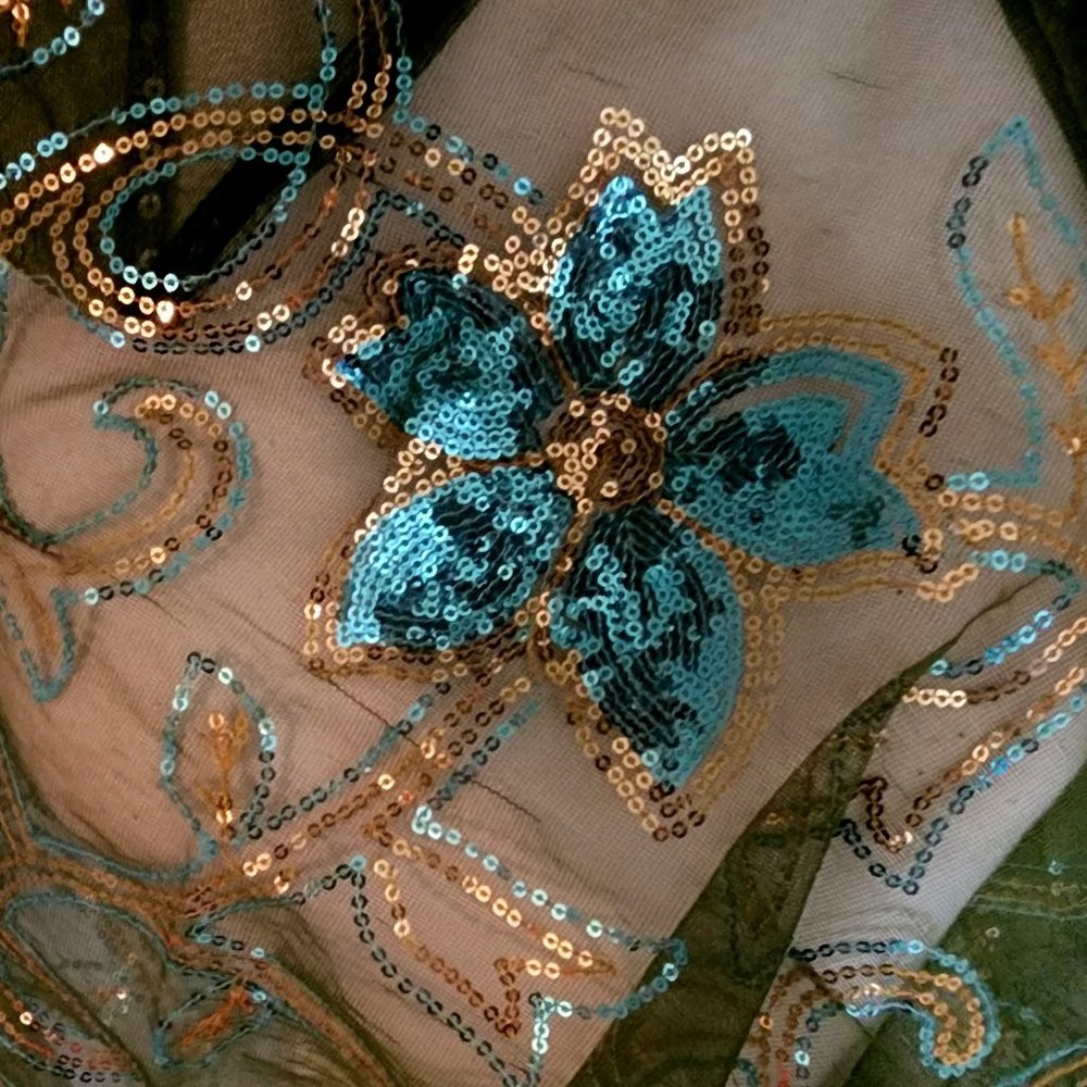 Vintage Indian Wedding Dupatta Sequined Embroidered Beaded Georgette Wrap #P1